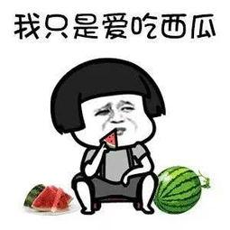 娱乐吃瓜君你们是谁,揭秘网络红人的背后故事